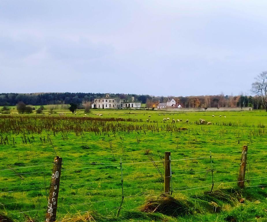 Готель Galway Glamping Туам Екстер'єр фото