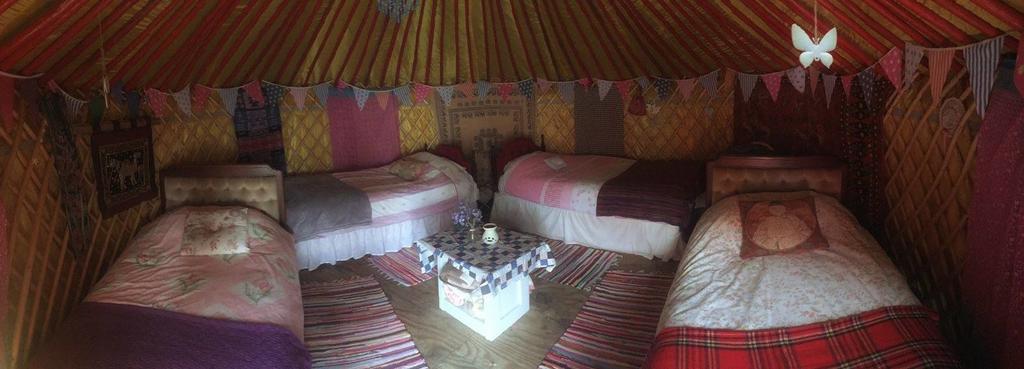 Готель Galway Glamping Туам Екстер'єр фото